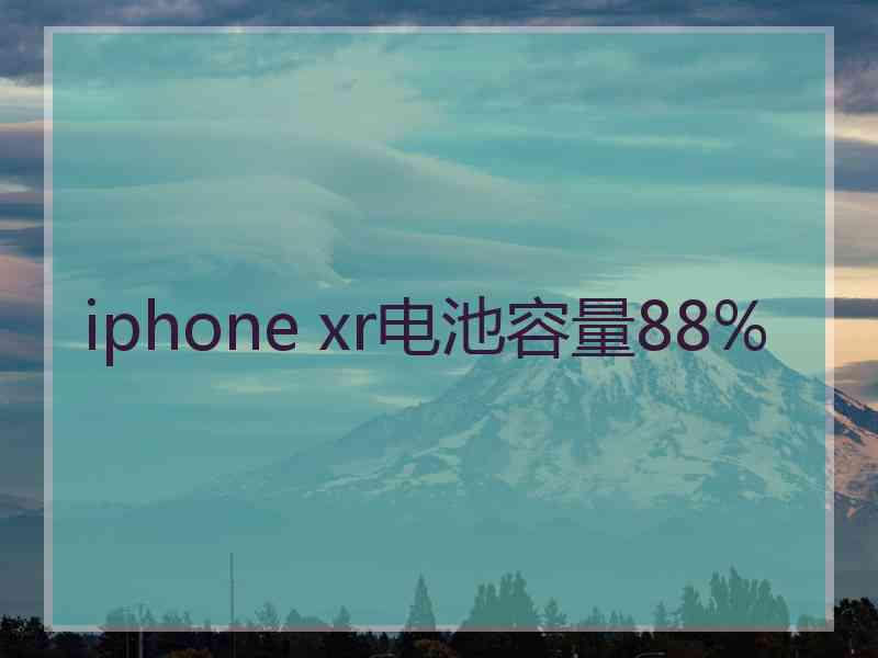 iphone xr电池容量88%