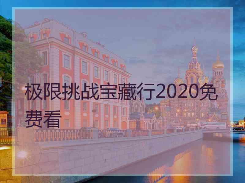 极限挑战宝藏行2020免费看