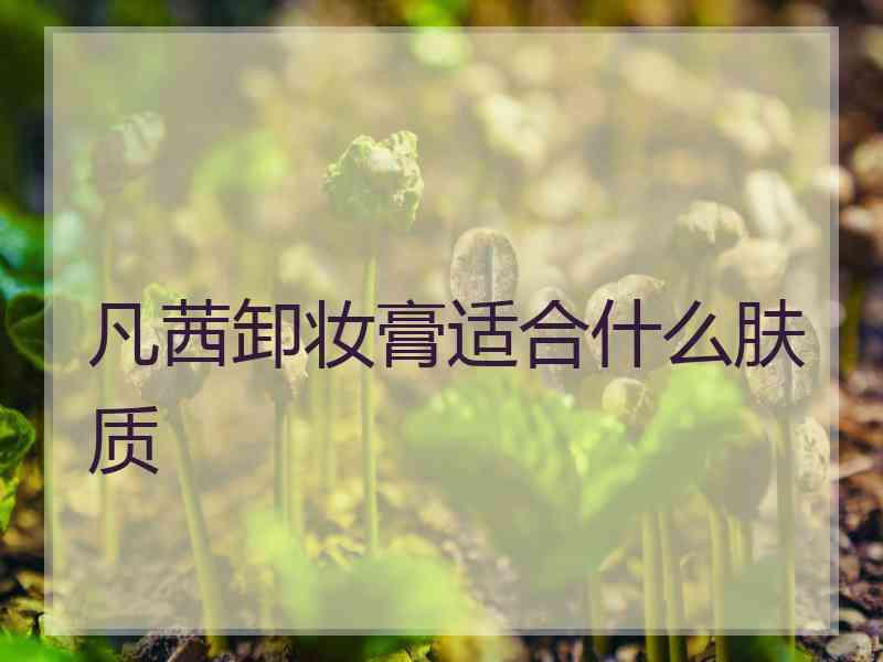 凡茜卸妆膏适合什么肤质