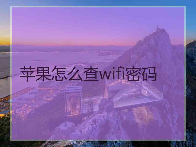 苹果怎么查wifi密码