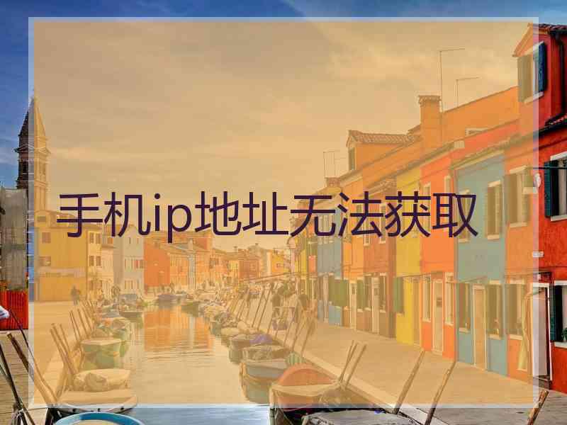 手机ip地址无法获取