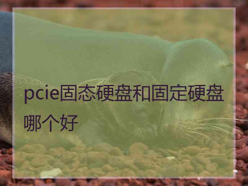 pcie固态硬盘和固定硬盘哪个好