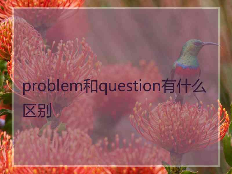 problem和question有什么区别