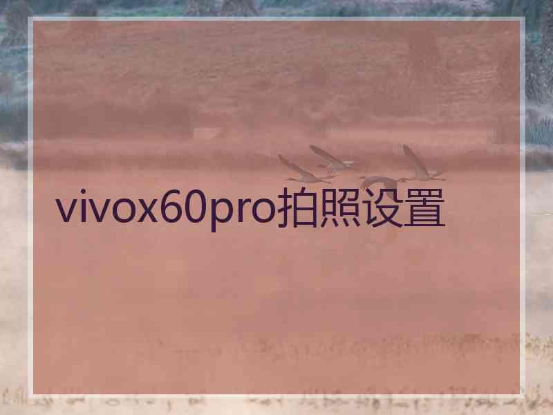 vivox60pro拍照设置