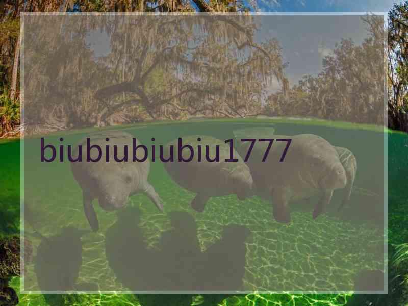 biubiubiubiu1777