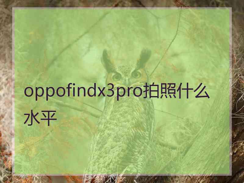 oppofindx3pro拍照什么水平