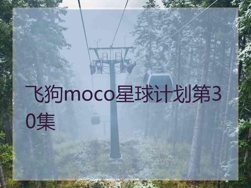 飞狗moco星球计划第30集