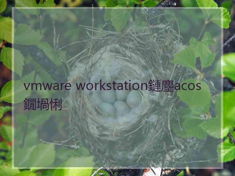 vmware workstation鏈塵acos鐗堝悧