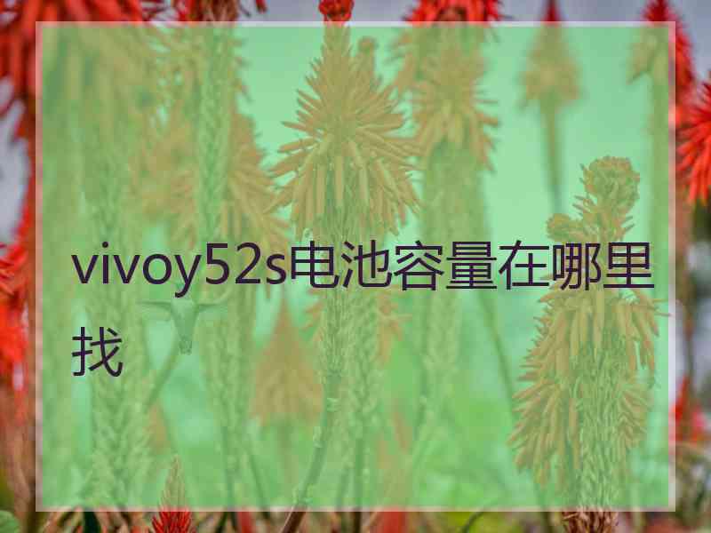 vivoy52s电池容量在哪里找