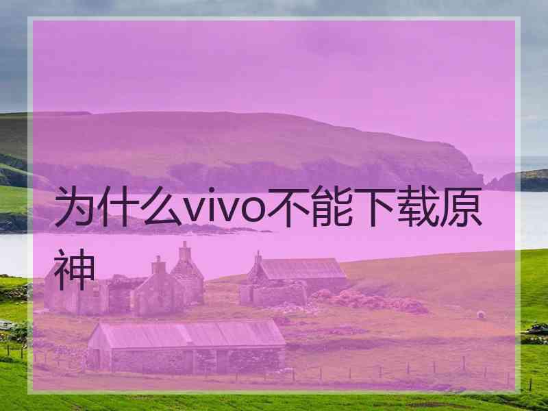 为什么vivo不能下载原神