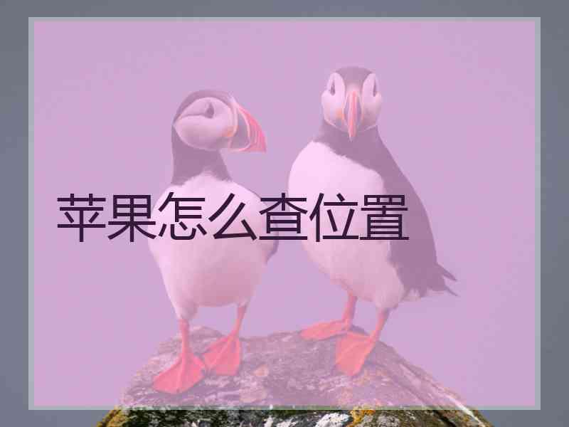 苹果怎么查位置