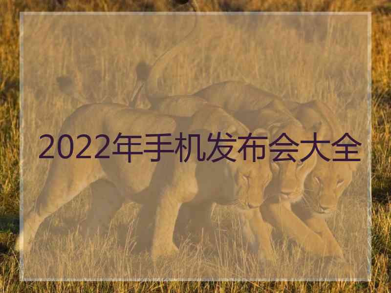 2022年手机发布会大全