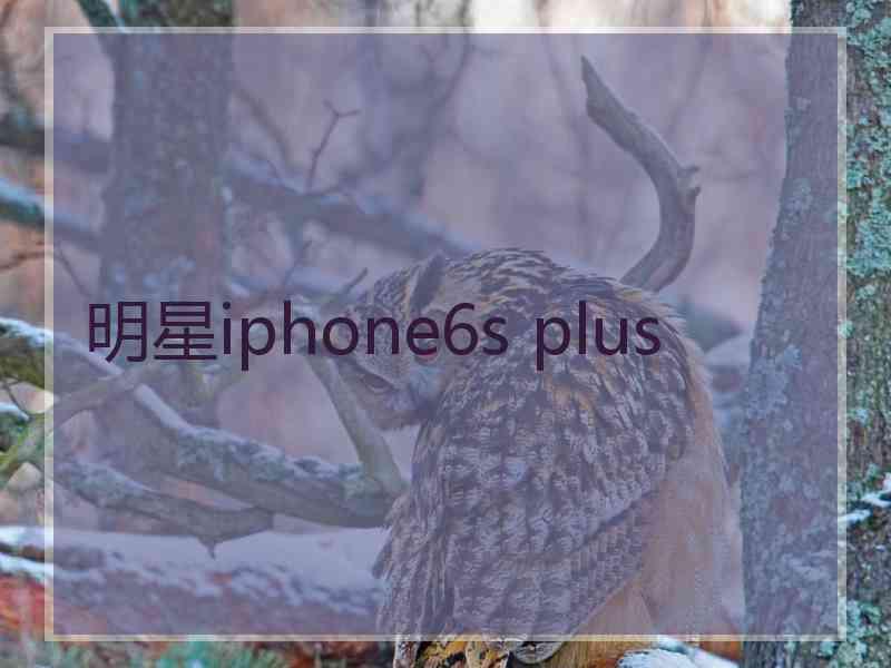 明星iphone6s plus