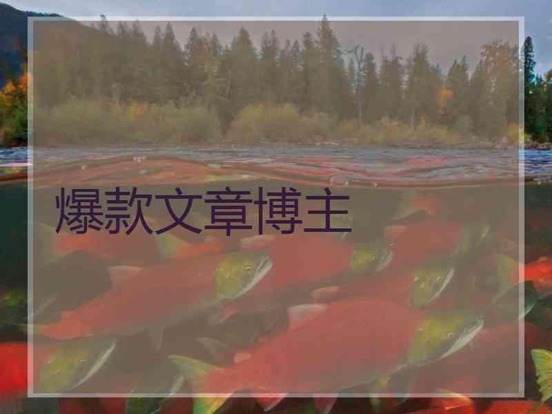 爆款文章博主