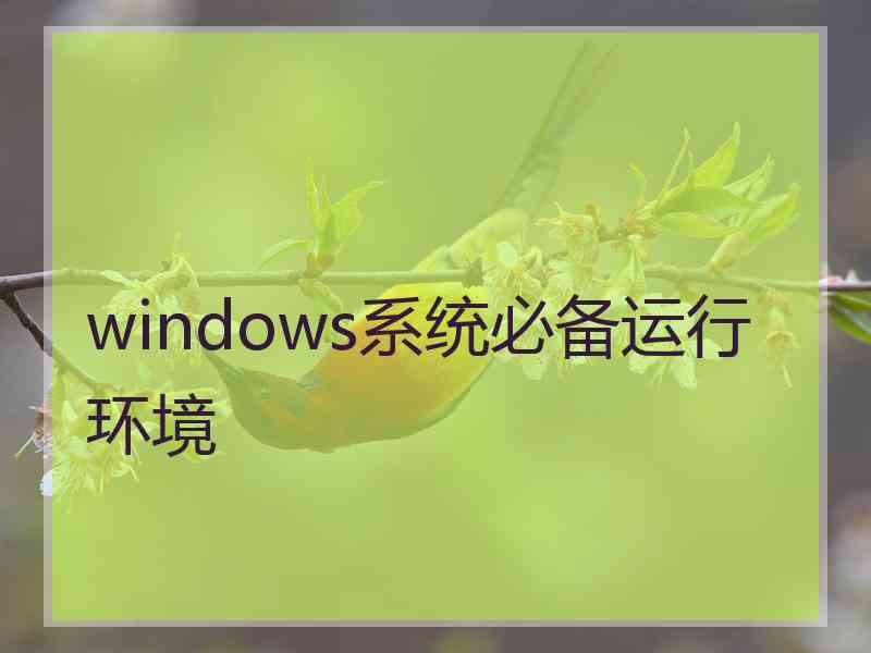 windows系统必备运行环境