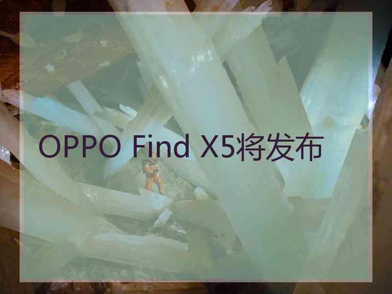 OPPO Find X5将发布