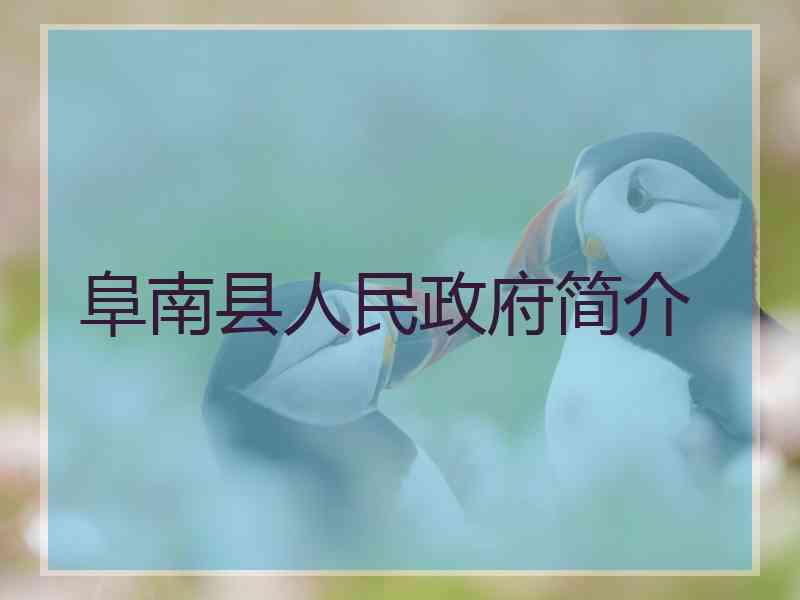 阜南县人民政府简介