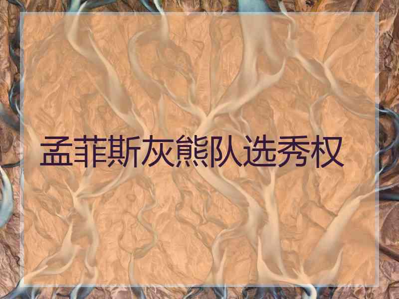 孟菲斯灰熊队选秀权