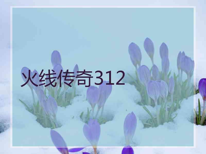 火线传奇312