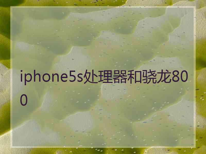 iphone5s处理器和骁龙800