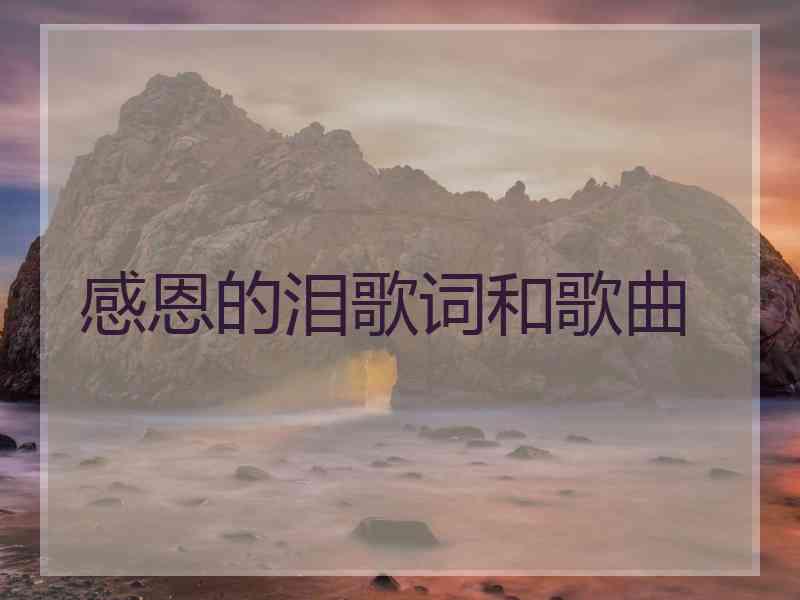 感恩的泪歌词和歌曲