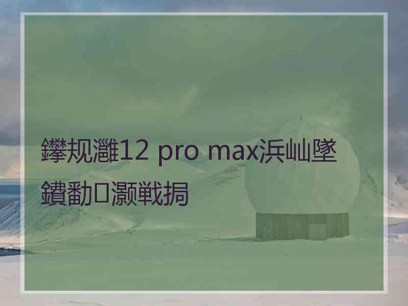 鑻规灉12 pro max浜屾墜鐨勫灏戦挶