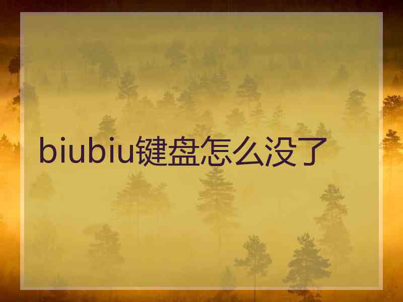 biubiu键盘怎么没了