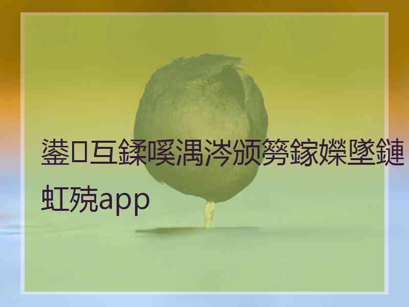 鍙互鍒嗘湡涔颁簩鎵嬫墜鏈虹殑app