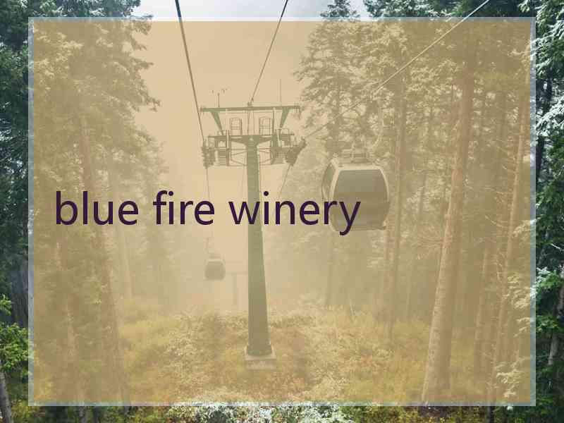 blue fire winery