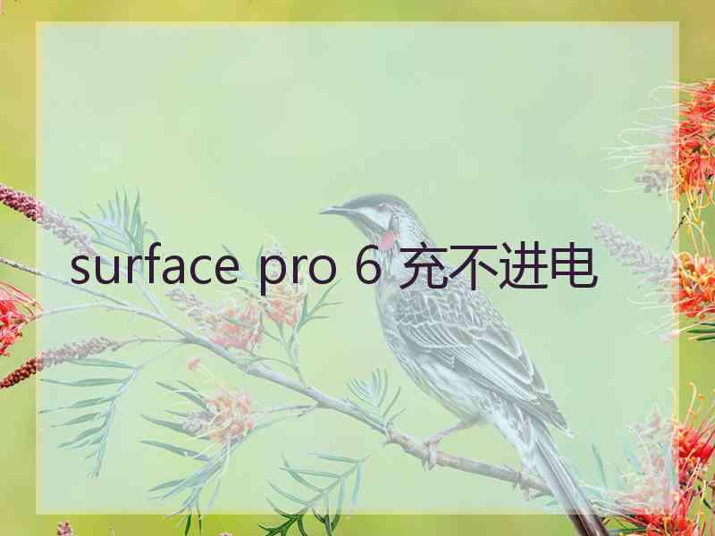 surface pro 6 充不进电