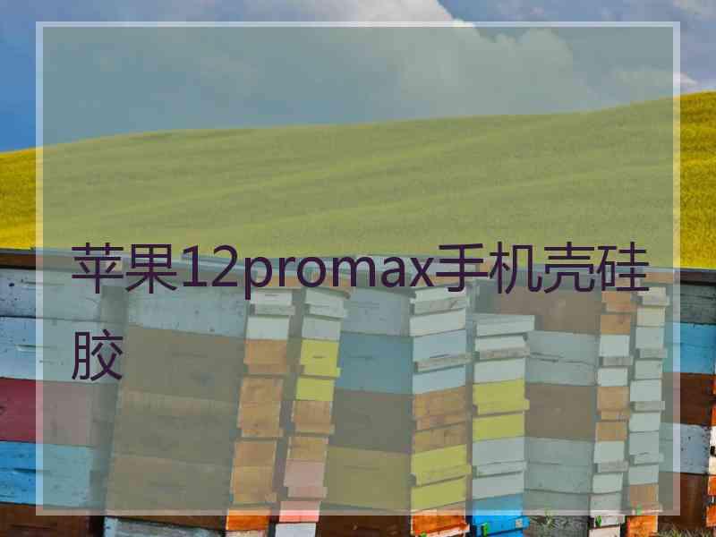 苹果12promax手机壳硅胶