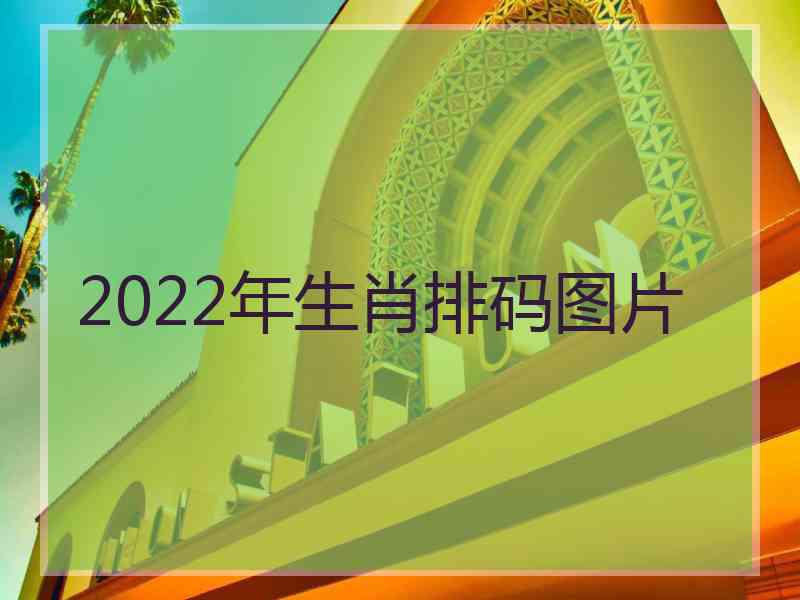 2022年生肖排码图片