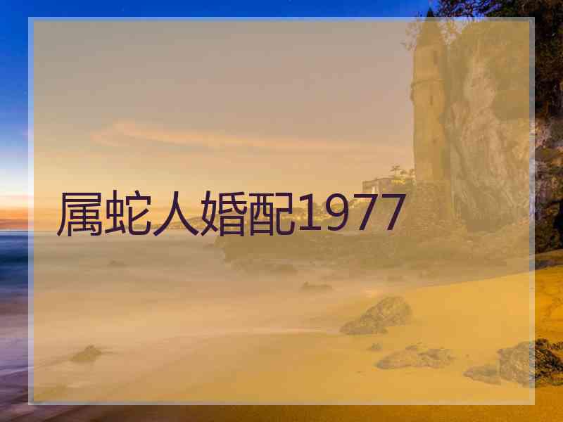 属蛇人婚配1977