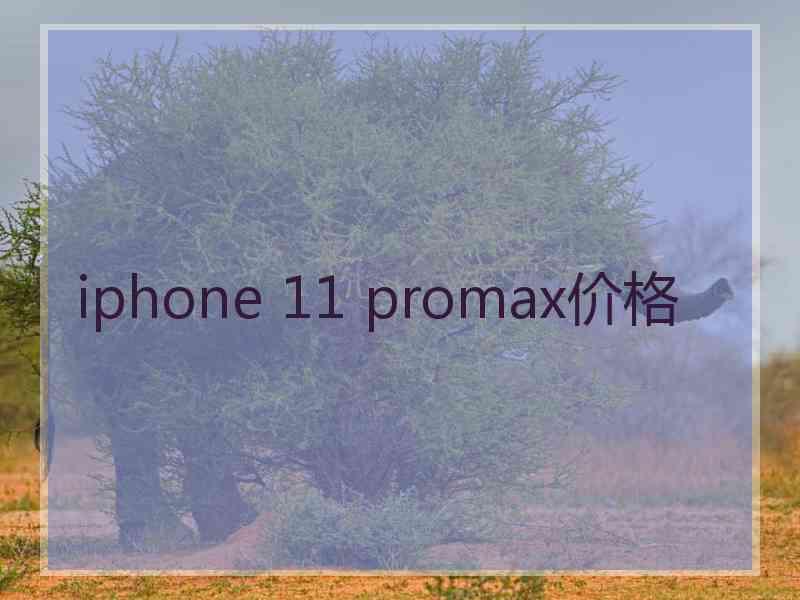 iphone 11 promax价格