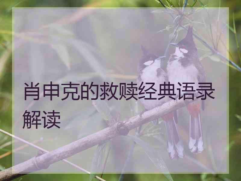 肖申克的救赎经典语录解读