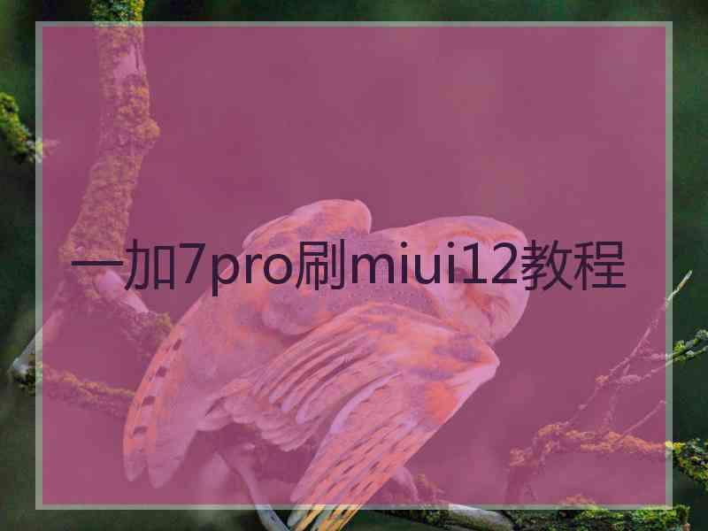 一加7pro刷miui12教程