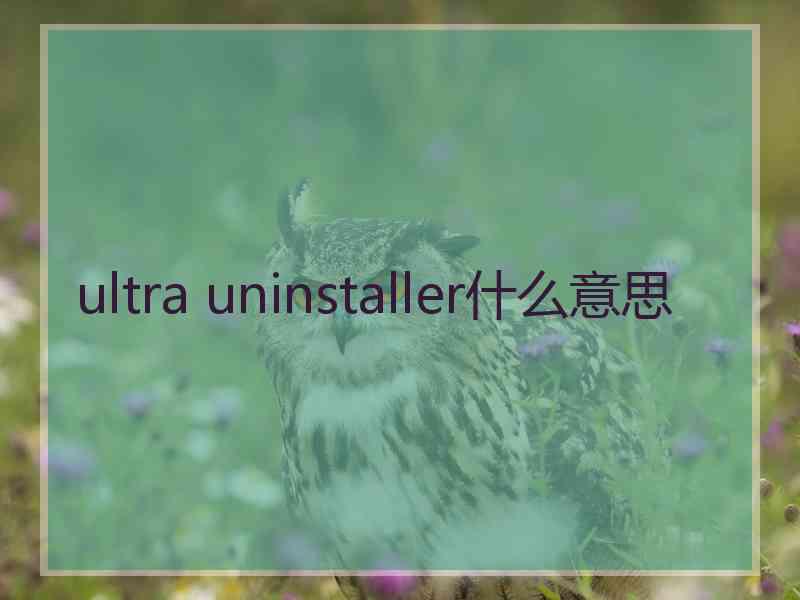 ultra uninstaller什么意思