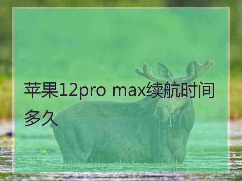 苹果12pro max续航时间多久