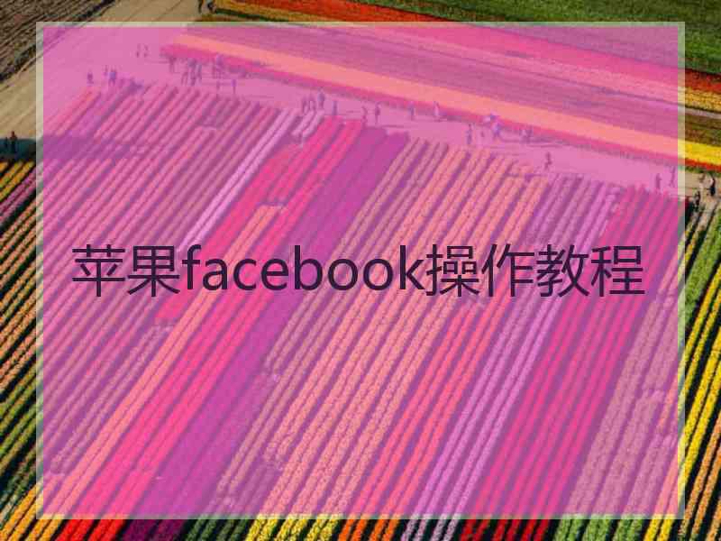 苹果facebook操作教程