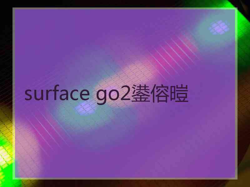 surface go2鍙傛暟