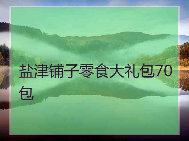 盐津铺子零食大礼包70包