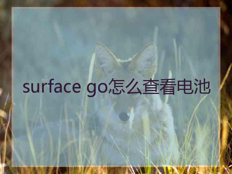 surface go怎么查看电池