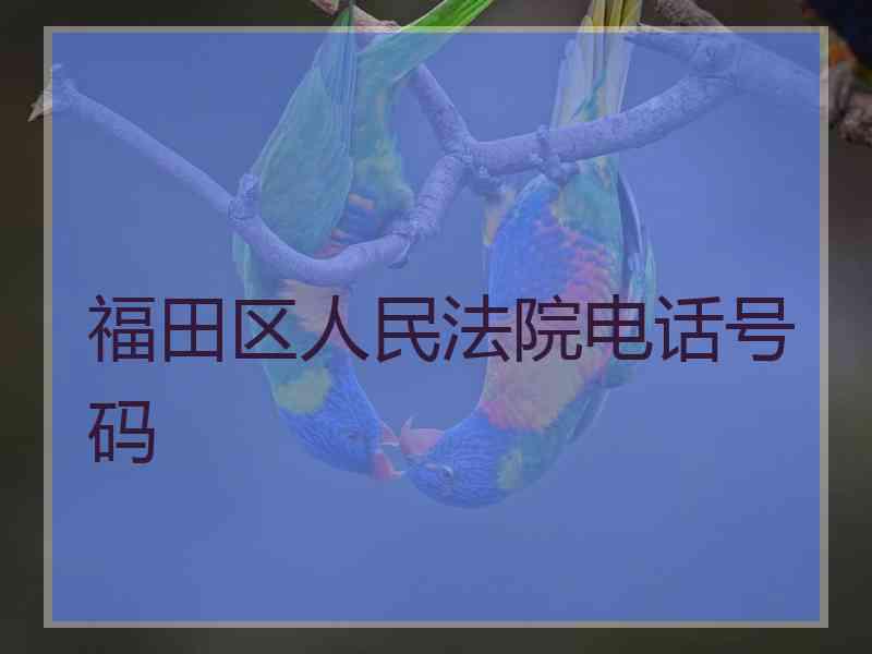 福田区人民法院电话号码