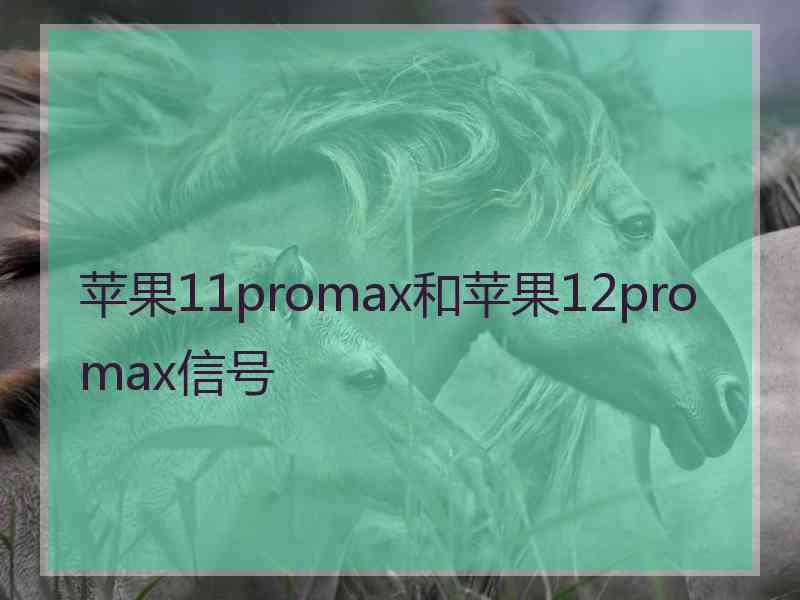 苹果11promax和苹果12promax信号