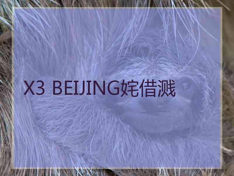 X3 BEIJING姹借溅