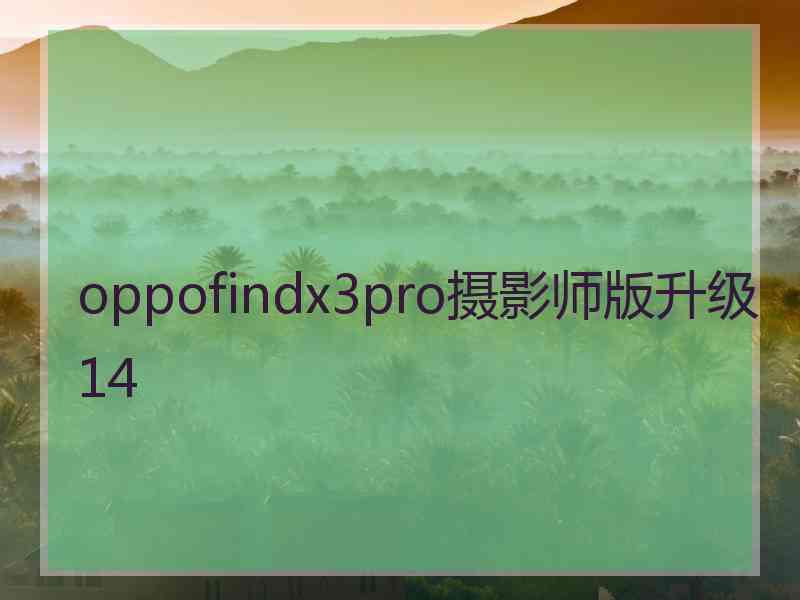 oppofindx3pro摄影师版升级14