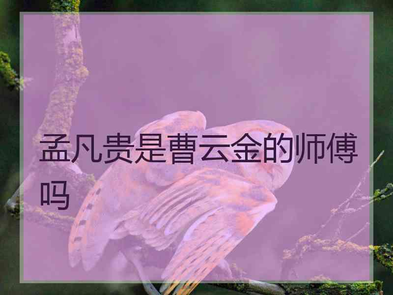 孟凡贵是曹云金的师傅吗