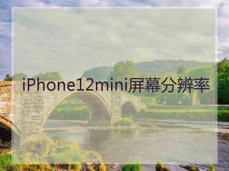 iPhone12mini屏幕分辨率