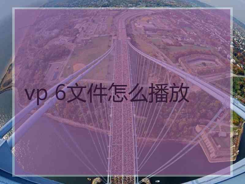 vp 6文件怎么播放