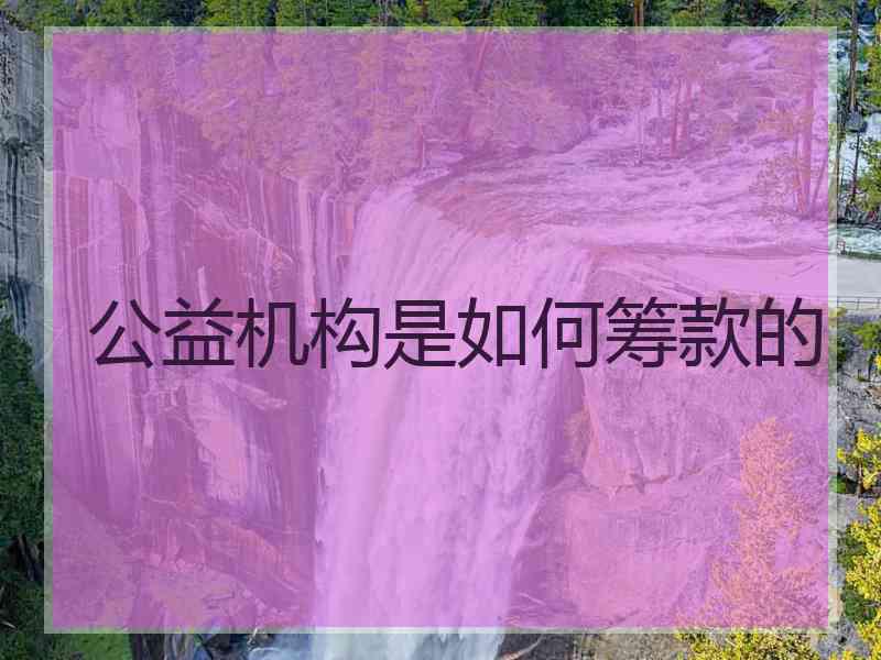 公益机构是如何筹款的